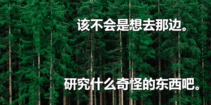 QQ_1771088004491.png